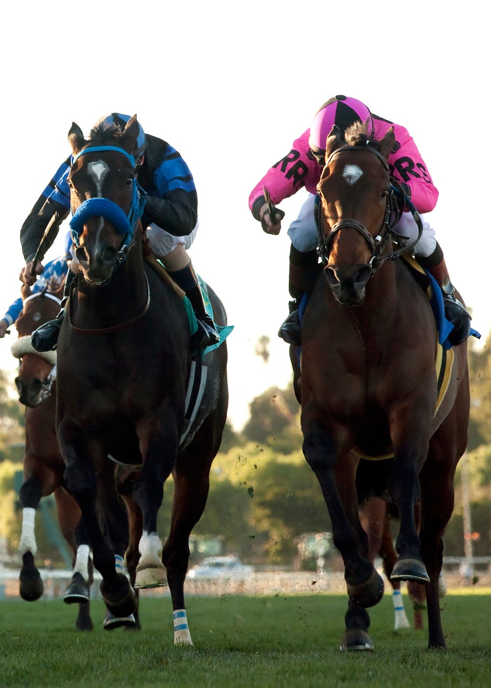 Alert Bay survives inquiry in Cal Cup Turf Classic